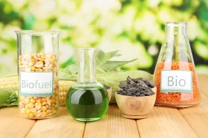 produção de biodiesel