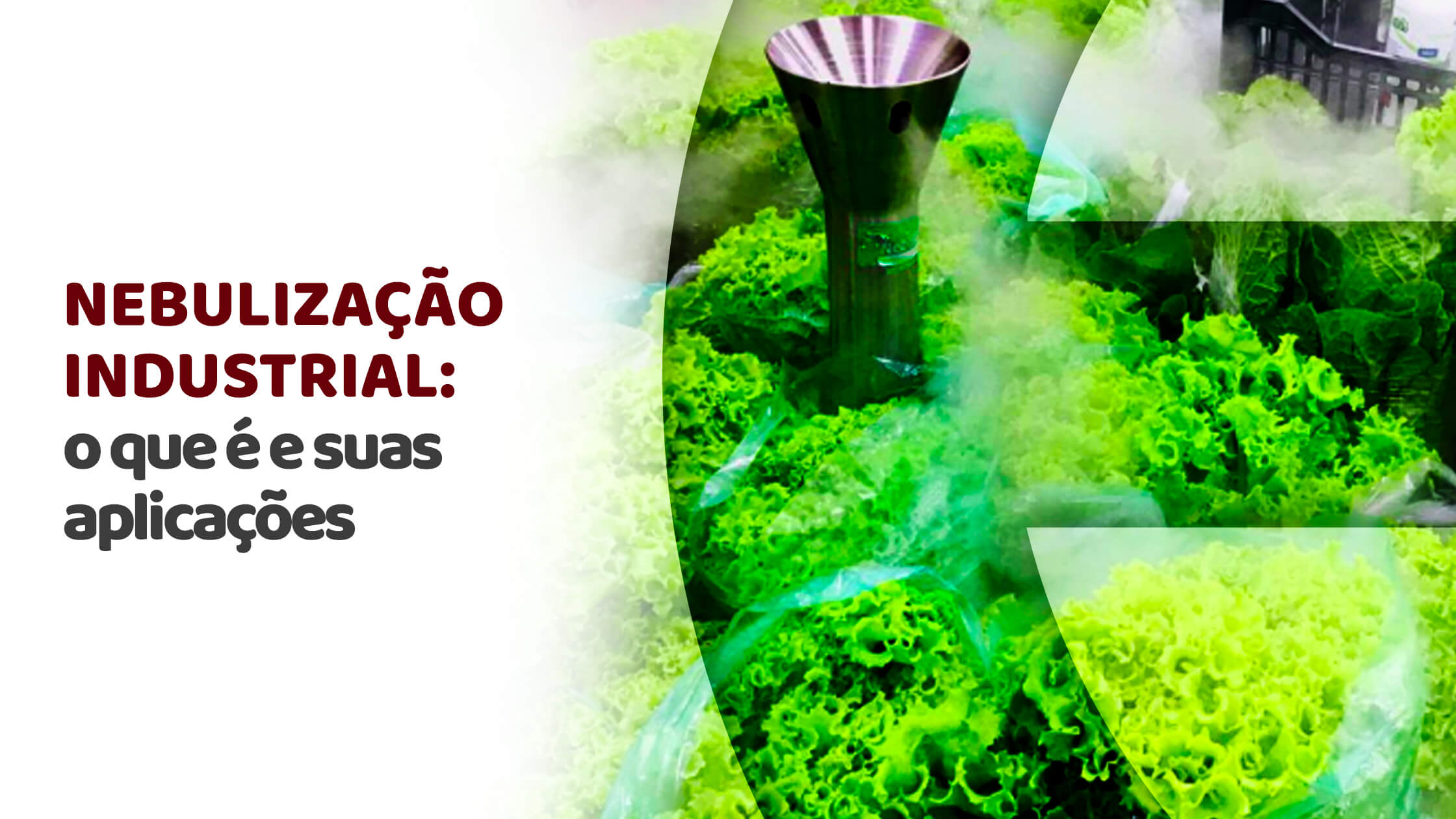 Nebulização o que é e suas aplicações